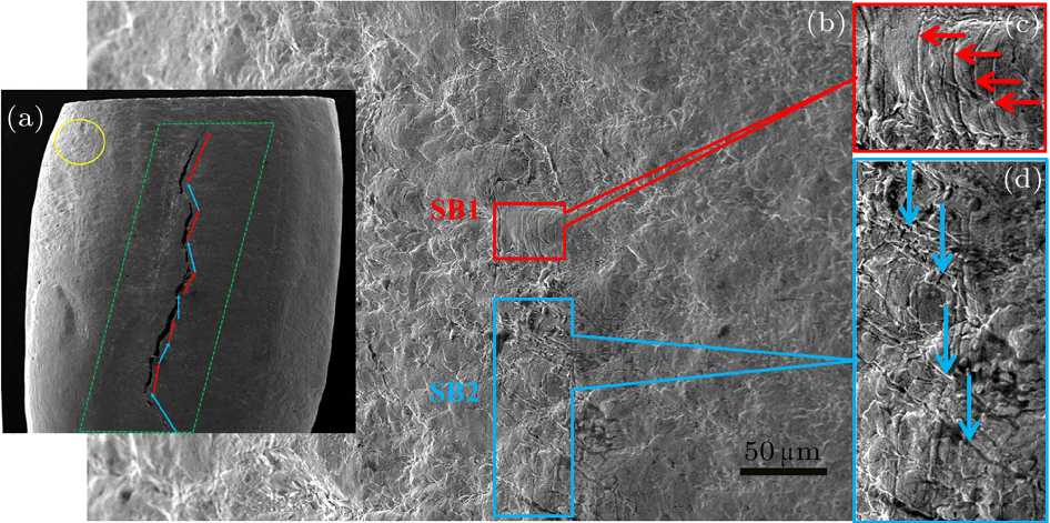 cpl-37-8-086401-fig3.png