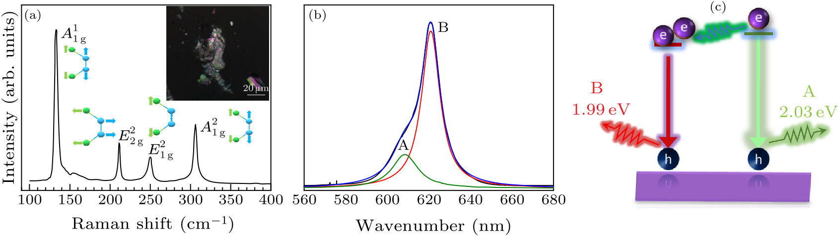 Tmd Raman Rotation cpl-37-8-088201-fig1.png