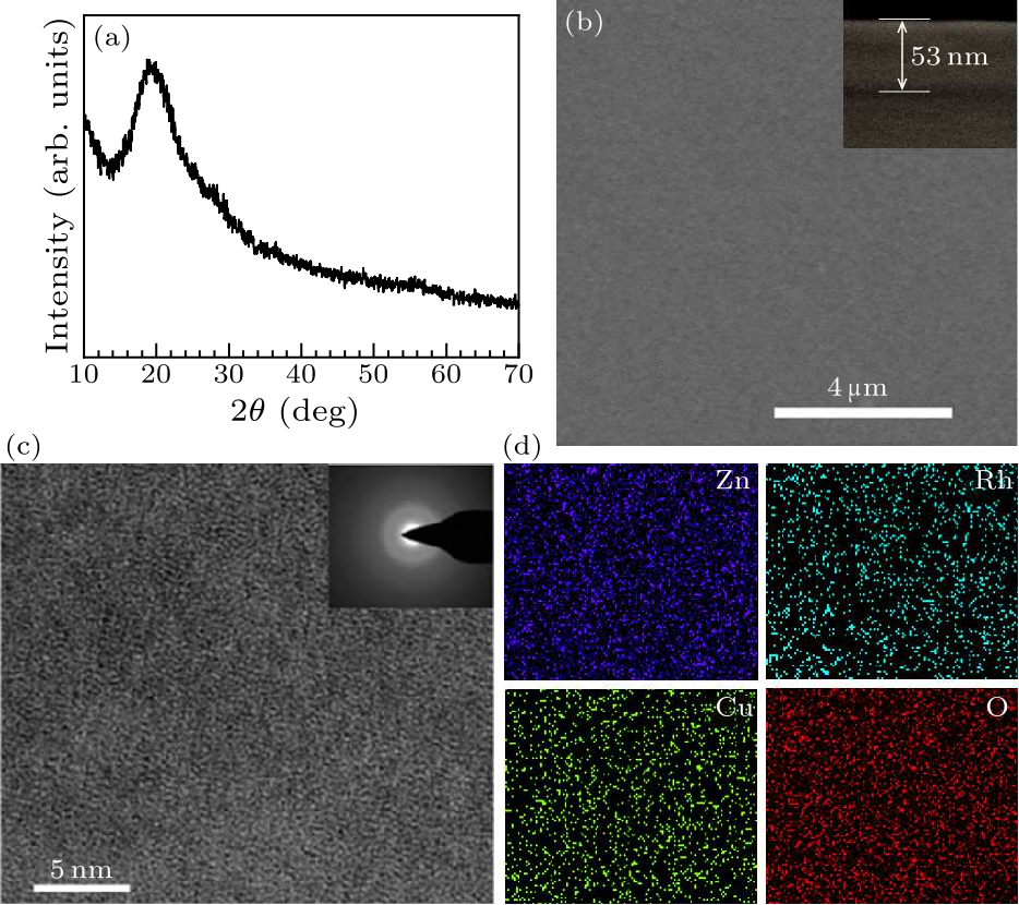 cpl-37-9-098501-fig1.png