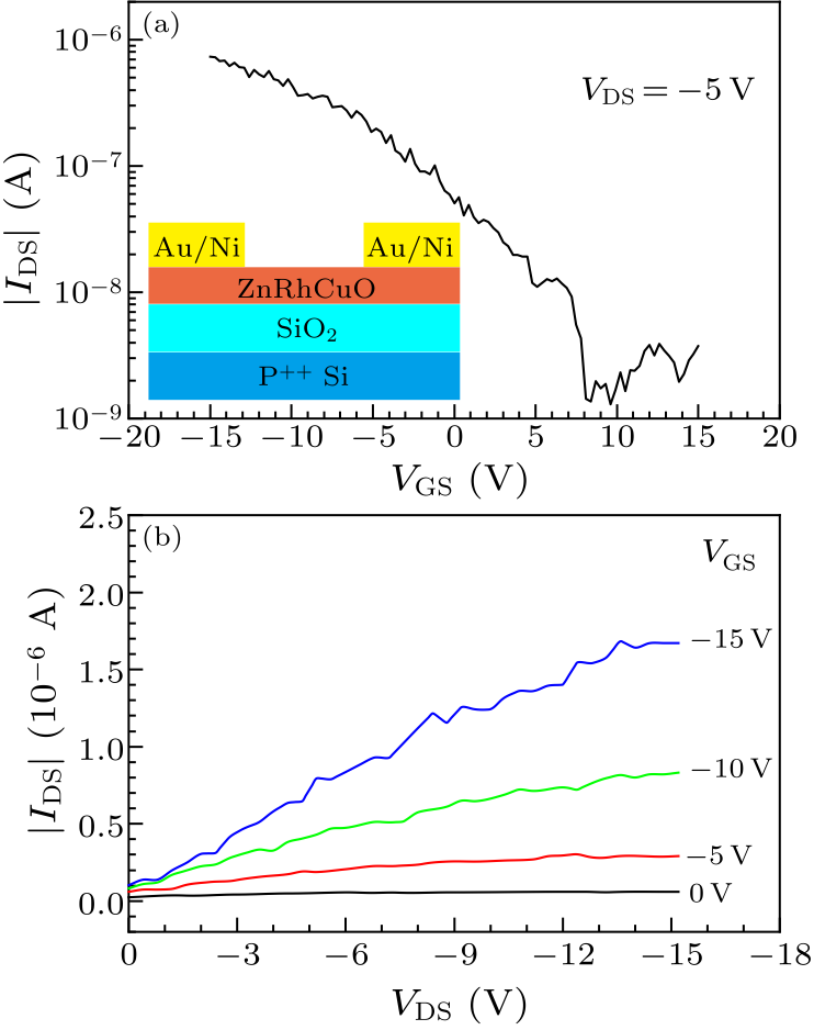 cpl-37-9-098501-fig3.png