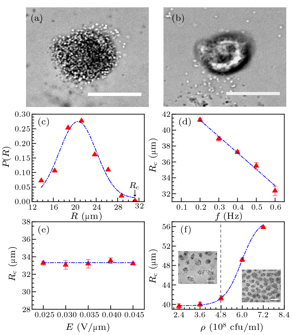 cpl-39-10-108702-fig2.png