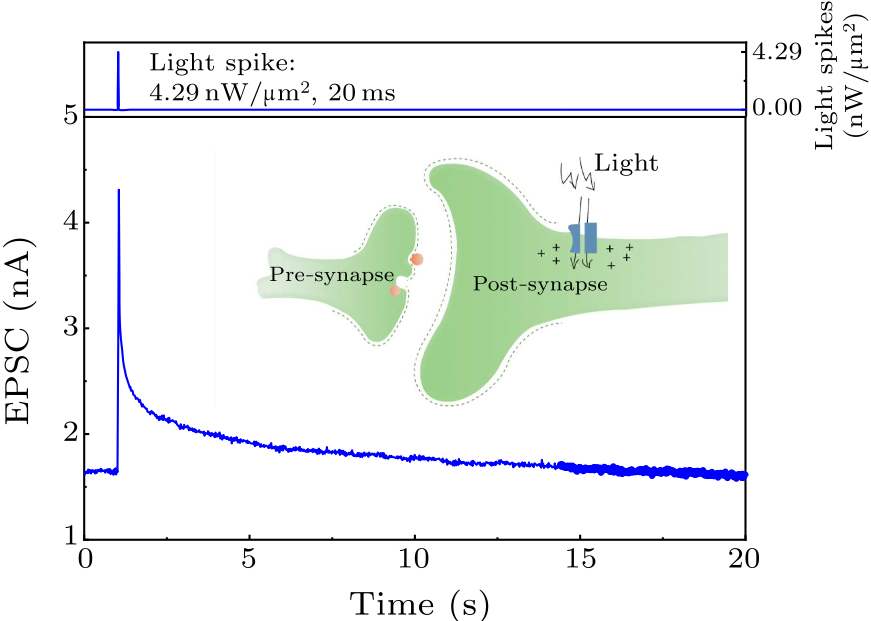 cpl-39-6-068501-fig2.png